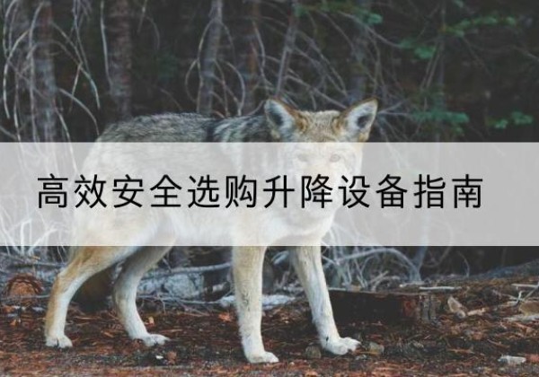 万秀升降货梯厂家推荐-*安全选购升降设备指南
