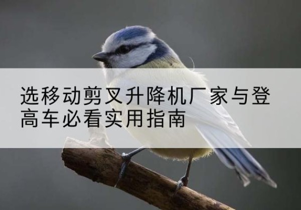 万秀电动升降机厂家-选移动剪叉升降机厂家与登高车必看实用指南